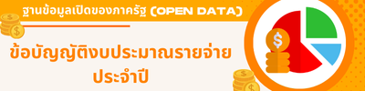 รายงานการเงินประจำปี
